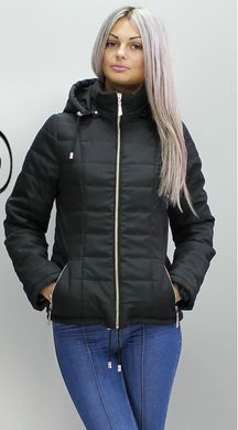 Чорна демісезонна куртка КР1 Murenna Furs