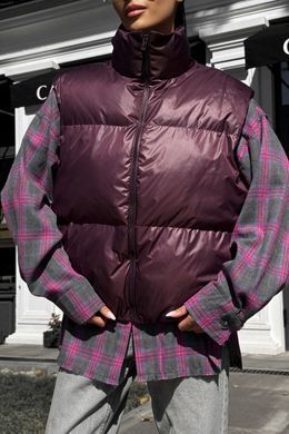 Жилет Хат біопух марсала Jadone Fashion