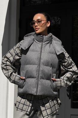 Сірий жилет Арк біопух Jadone Fashion